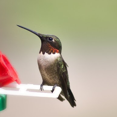 Jeanette Evans Photo 33