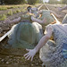 Julia Spivey Photo 16