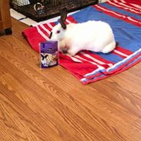 Joann Heckert Photo 3