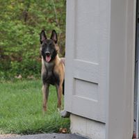 Renee Hensley Photo 12