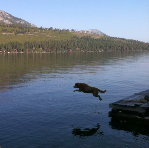 Drew Mcgowan Photo 3