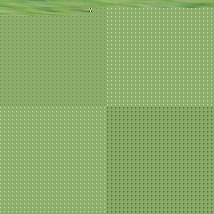 Sara Carrillo Photo 3