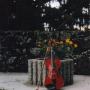 Nancy Buchanan Photo 39