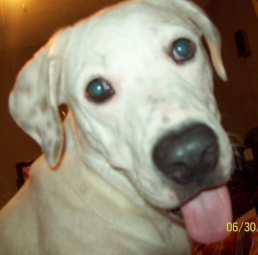 Michael Hickman Photo 19