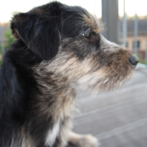 Stephanie Schubert Photo 26