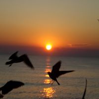 Barbara Burdette Photo 12