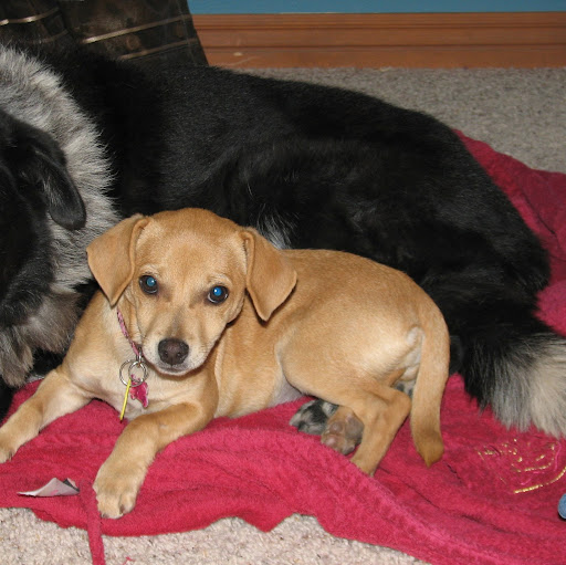 Curt Walker Photo 14