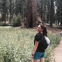 Karl Taylor Photo 33