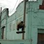 Andrew Browne Photo 8