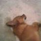 Robin Mayes Photo 7