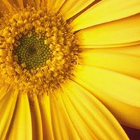 Bessie Mayfield Photo 2