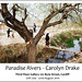 Carolyn Drake Photo 13