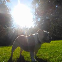 Phoebe Brown Photo 38