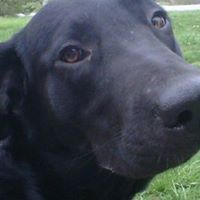 Douglas Nichols Photo 5