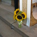 Lynn Olins Photo 7