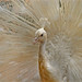 Gilbert Roderick Photo 3