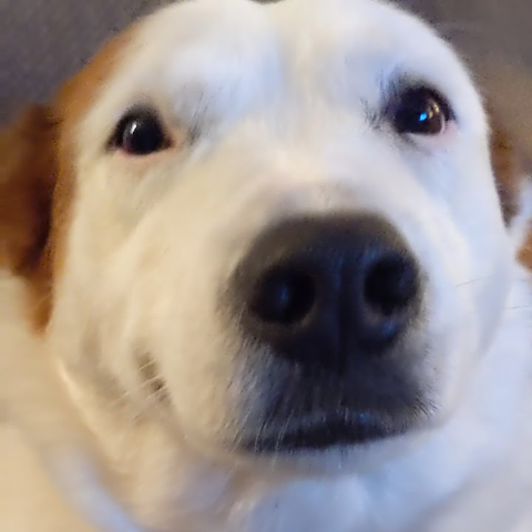 Tamara Combs Photo 29