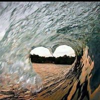 Tracee Anderson Photo 8