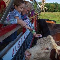 Kathy Wilkes Photo 25 Kathy Wilkes Photo 25