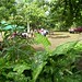 Debra Turner Photo 6