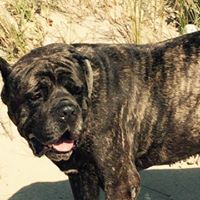 Ronald Graves Photo 26