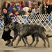 Anne Spalding Photo 20