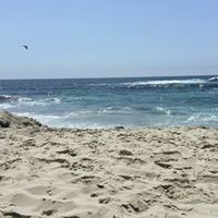 Tracey Bissell Photo 4