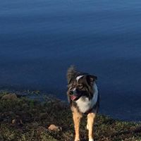 Suzanne Conrad Photo 16