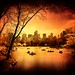 Brenda Conner Photo 6