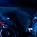 Roy Lay Photo 5