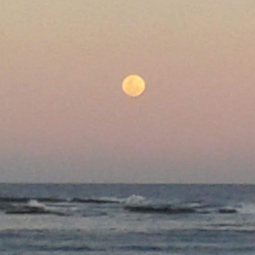 Federico Rodriguez Photo 11 Federico Rodriguez Photo 11