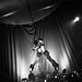 Nancy Troupe Photo 8