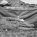 Charles Douglas Photo 25