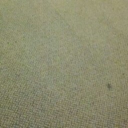 Jeffery Benjamin Photo 28