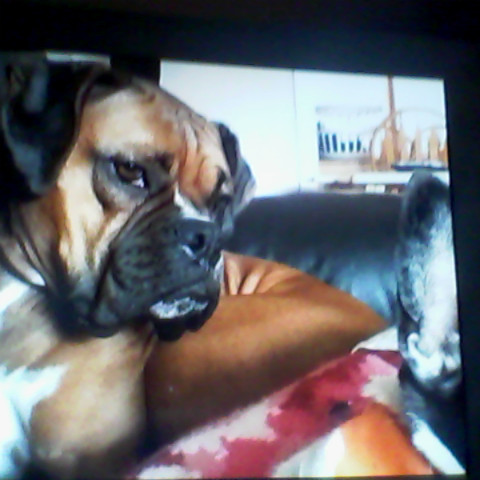 Michael Pasquale Photo 17