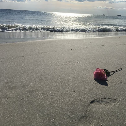 William Scruggs Photo 43 William Scruggs Photo 43