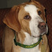 Kathleen Cane Photo 4
