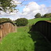 Rusty Bradford Photo 20