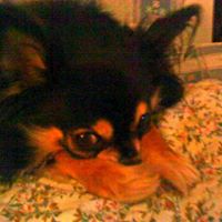 Connie Clayton Photo 28