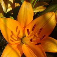 Jan Harding Photo 26