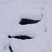 Jan Snow Photo 11