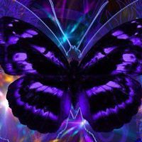 Kimberly Weeks Photo 17