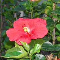 Katie Rodriguez Photo 39