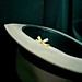 Jonathan Fuller Photo 40