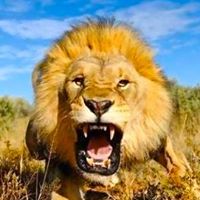 Richard Leone Photo 24