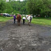 Phyllis Mccann Photo 9