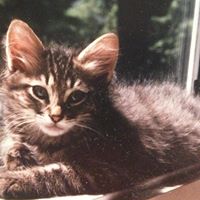 Roger Richmond Photo 14