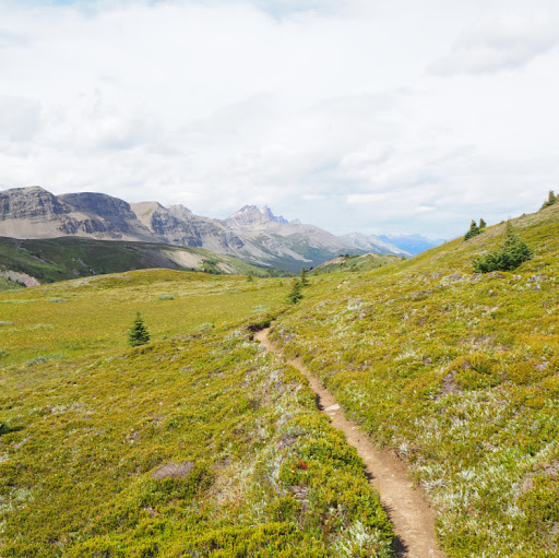 Samantha Schulz Photo 12