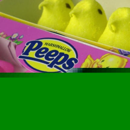 Bonnie Turner Photo 34