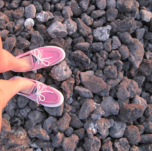 Monica Carroll Photo 12